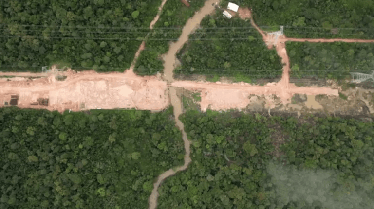 Prawda o wycince lasów w Amazonii